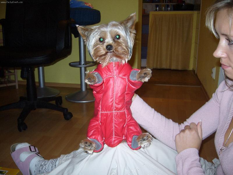 Foto: MIA z D���na-...to rad�i zmrznu...