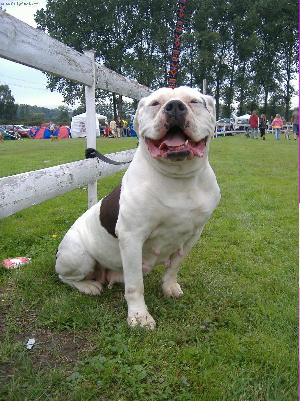 Foto: ARISSA TENESCO NERAKA-Arissa ve v�ku 11 let