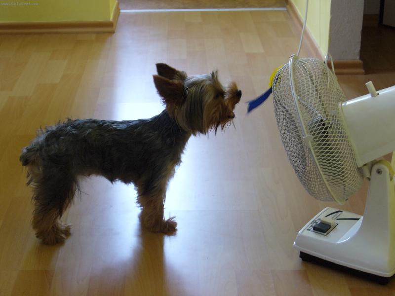 Foto: MIA z D���na-to je hic