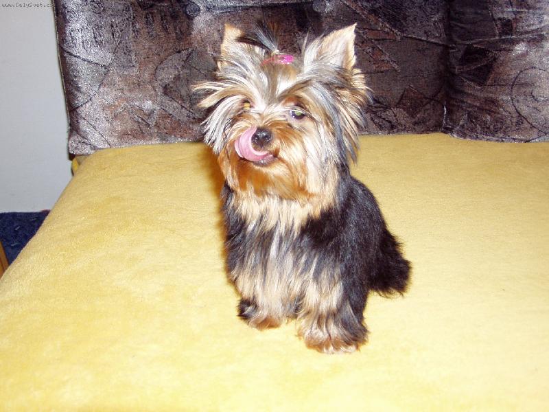 Foto: na�e Krist�nka-Krist�nka 4,5 m�s�ce