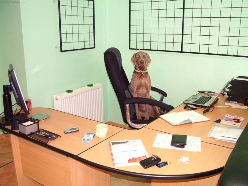 Foto: Ambra od Voka�ovsk�ho rybn�ka