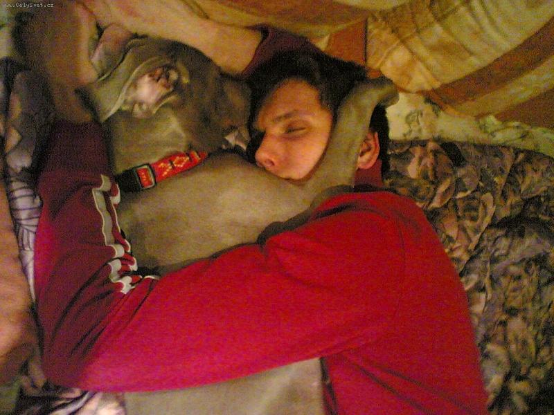 Foto: Ambra od Voka�ovsk�ho rybn�ka