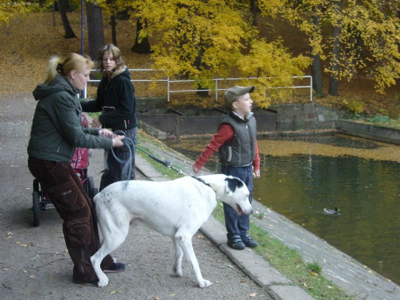 Foto: Nepast� m� na ty kachny