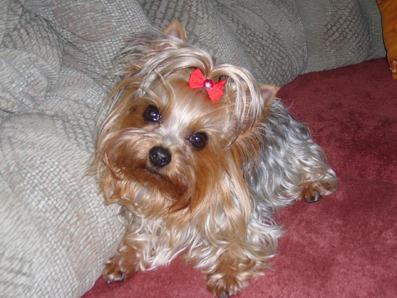 Foto: Nellynka-je to ro��anda