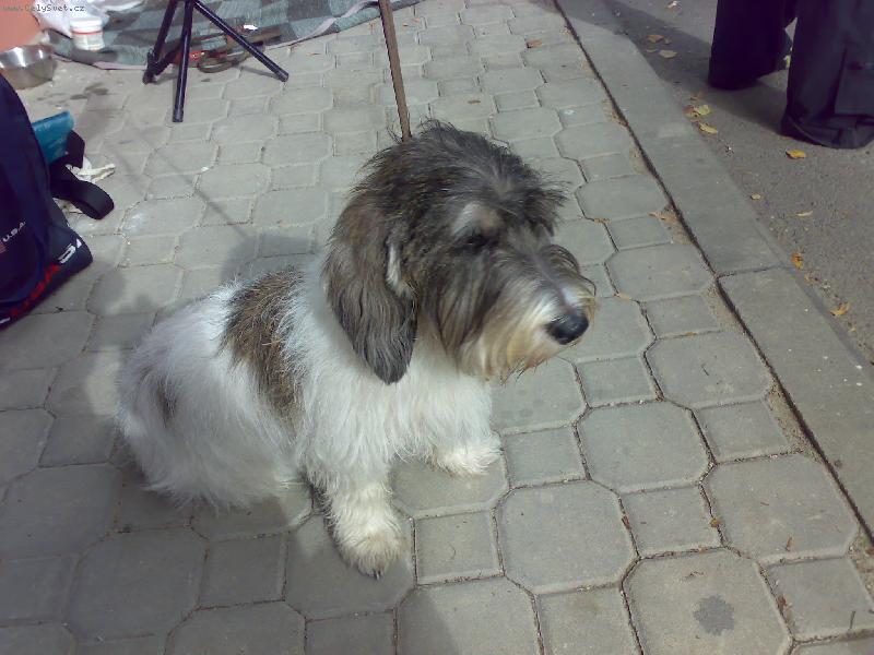 Foto: a hur� do kruhu