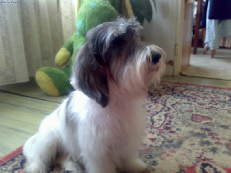 Foto: poj� si hr�t