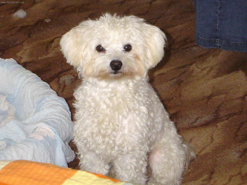 Foto: MAIKKI-Ja se tak rad fotim :-)