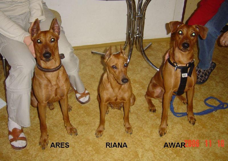 Foto: MAMINKA A JEJ� SYNOV� NA N�V�T�V�