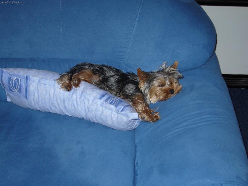 Foto: MIA z D���na-to je �ivot