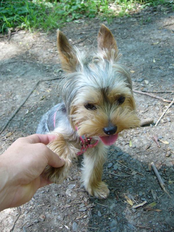 Foto: MIA z D���na