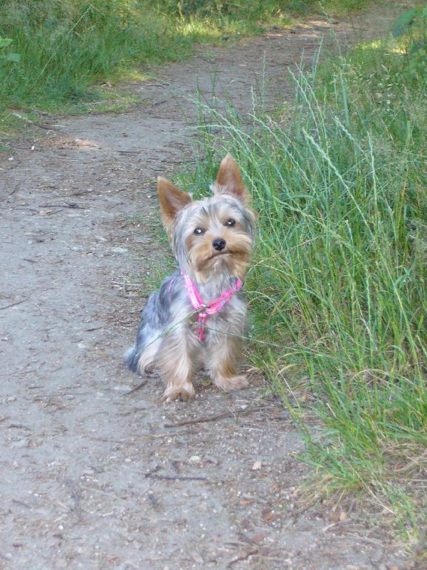 Foto: MIA z D���na