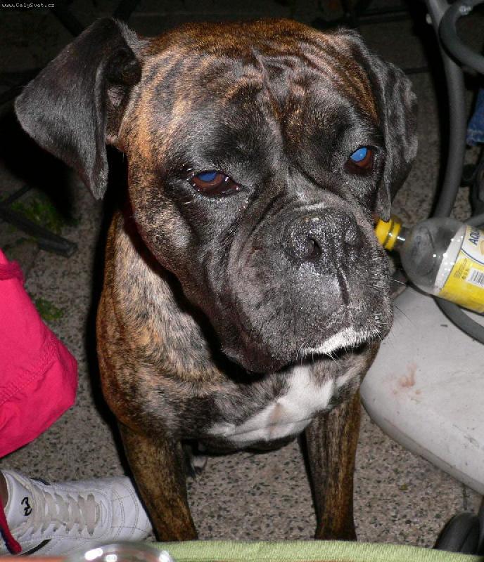 Foto: Na�e Aida-Fo��ky moc nemus�...