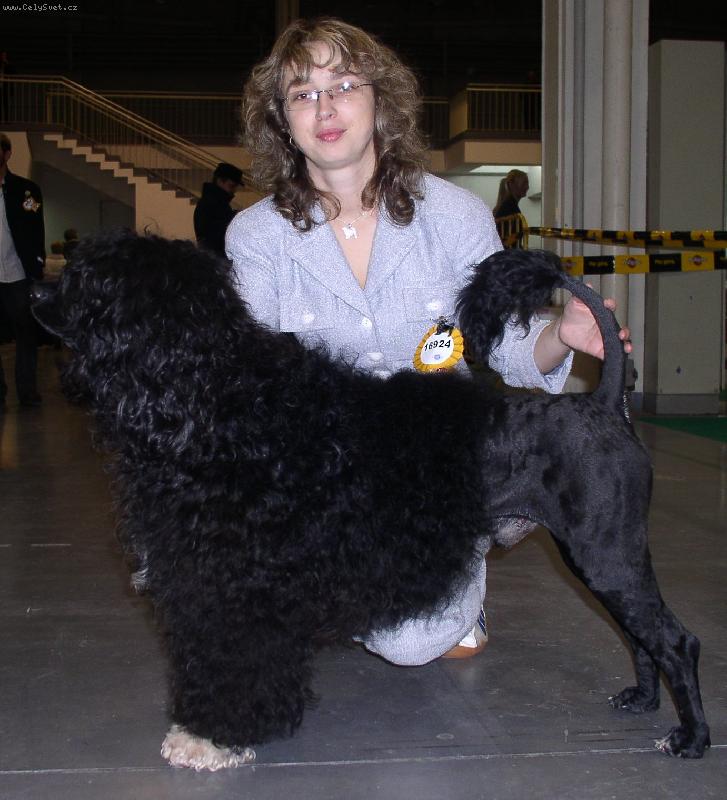 Foto: Albus Brumb�l-World dog show-excellent
