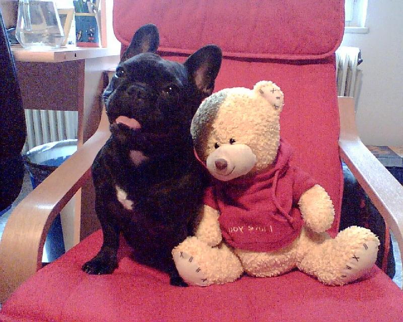 Foto: B�ra-rok a 10 m�s�c�-Kter� hra�ka je hez�� 2