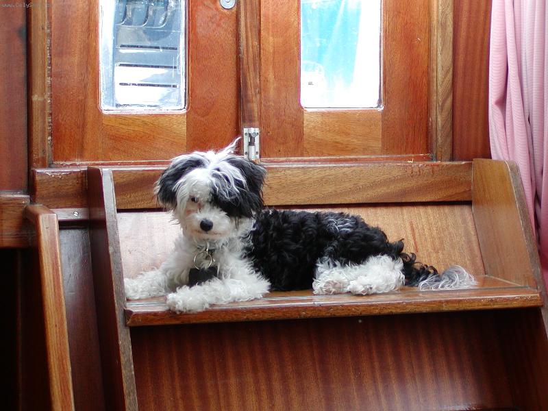 Foto: Bethany na lodi