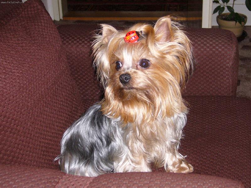 Foto: Nellynka-s beru�kou