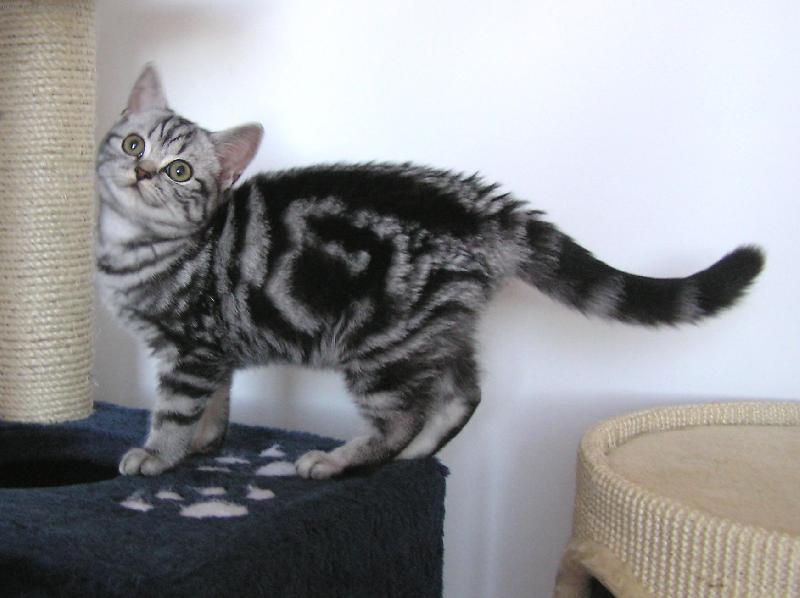 Foto: Princezn� Inoush-Na�a princezni�ka