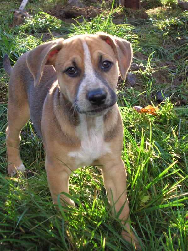 Foto: co to m� p�ed t�m ,,xichtem?\" mam �t�knout, nebo ne?