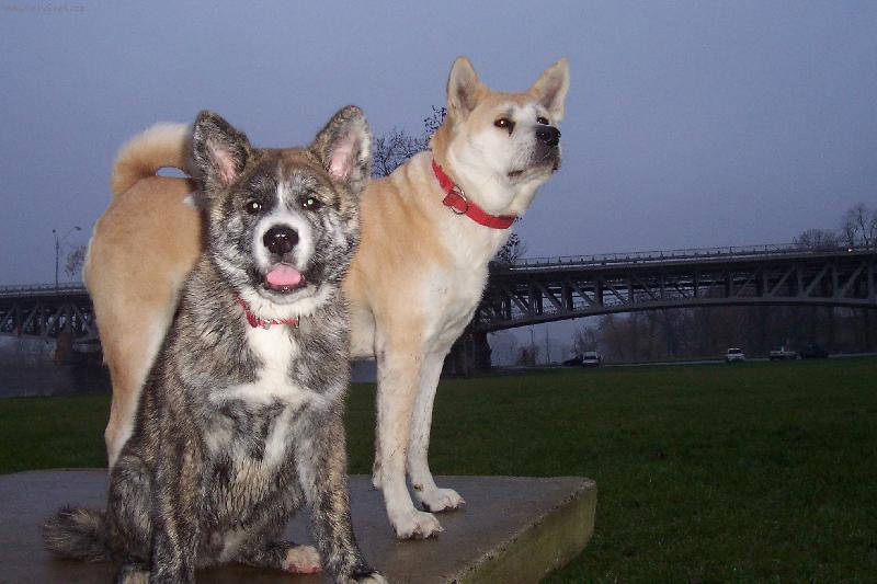 Foto: Connie a Hiro(matka a syn)-Na proch�zce u Labe