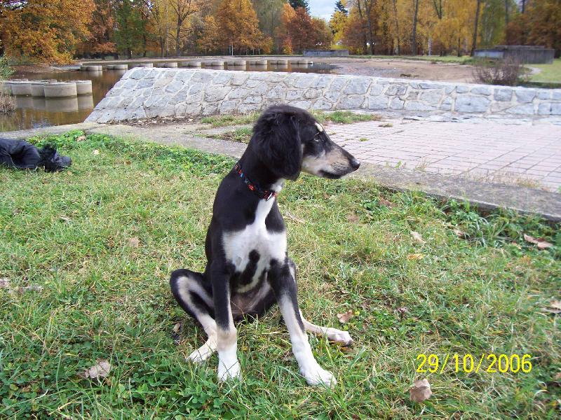 Foto: Mir�ja z Farzist�nu