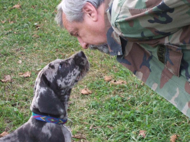 Foto: \"�ed� tyg�i\"