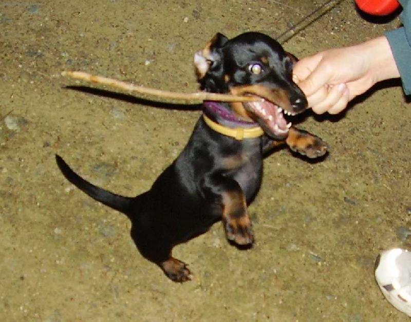 Foto: Ten klacek je m�j-Monty 7 m�s�c�