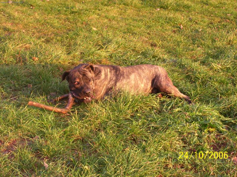 Foto: Bonna-jestli se p�ibl��, nad�l�m z tebe t��sky...