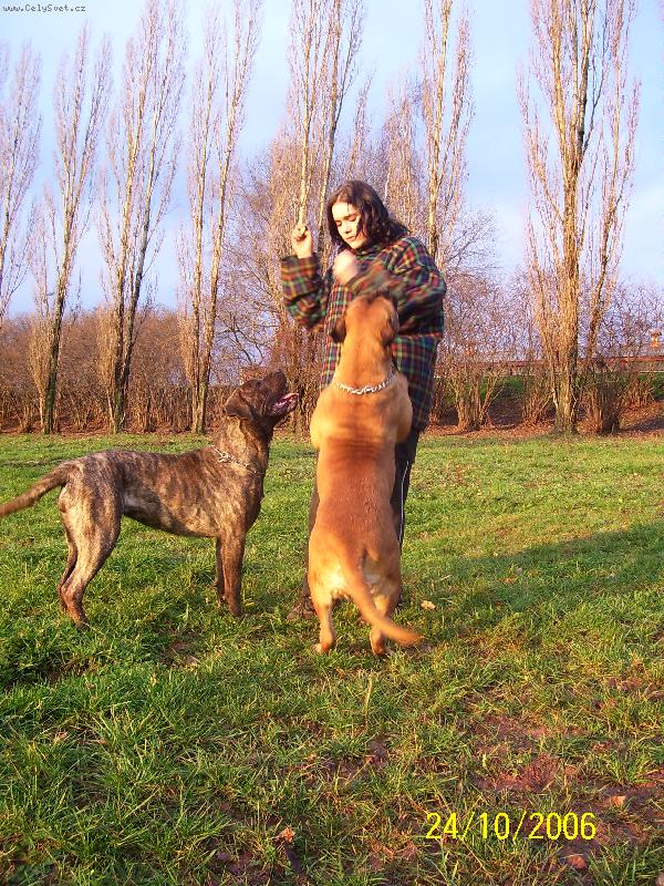 Foto: Bonna-holky, bude pi�kotek