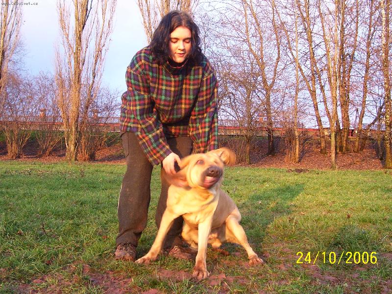 Foto: Alicia-v�sti�n�...