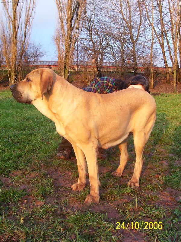 Foto: Alicia-kone�n� fotka, kterou mi pani�ka nepokazila