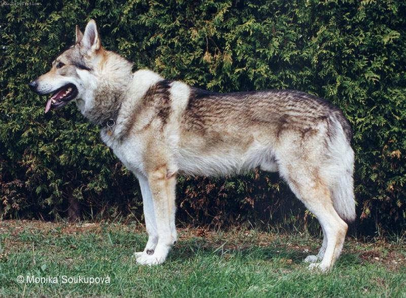 Foto: Freeking z Molu-takhle m� opravdu vypadat �SV :0)))