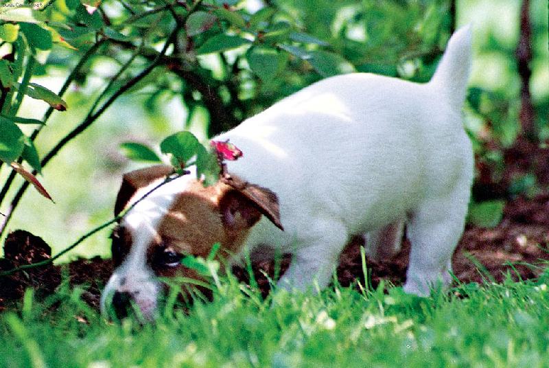 Foto: Mija-Kdo si hraje, nezlob�