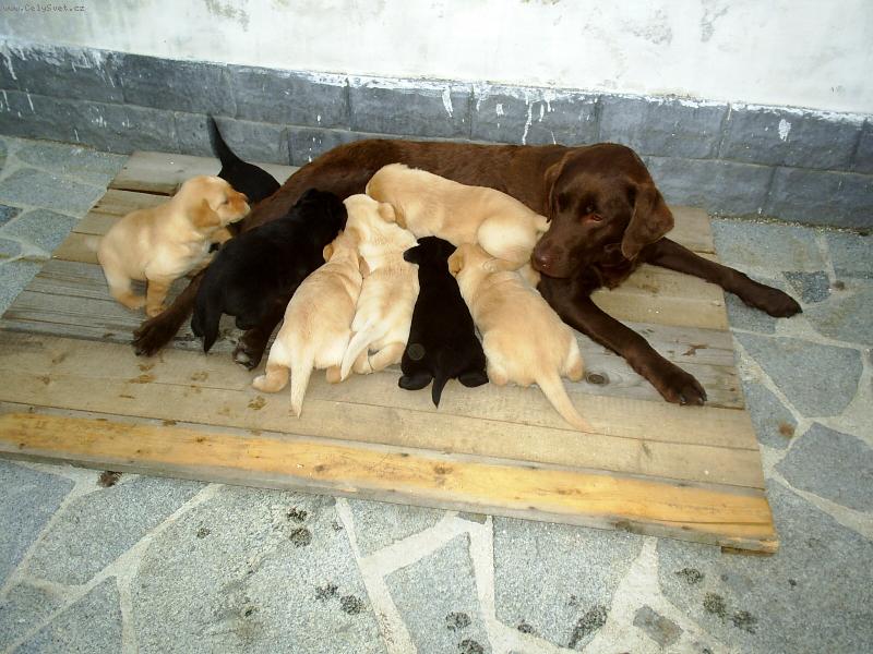 Foto: na�e nelinka a jej� Miminka