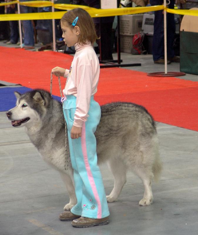 Foto: Ml�d� a st���-vetr�nka Ebony a jej� majitelka Ka�enka