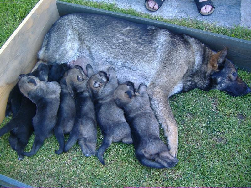 Foto: Arga-Na�e matka hrdinka :o)