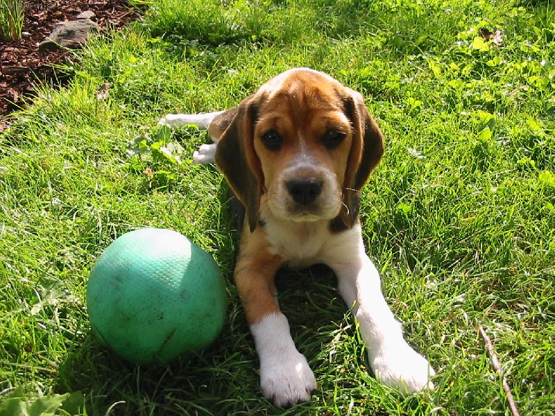 Foto: Betty-Bettynka z Chot�buze