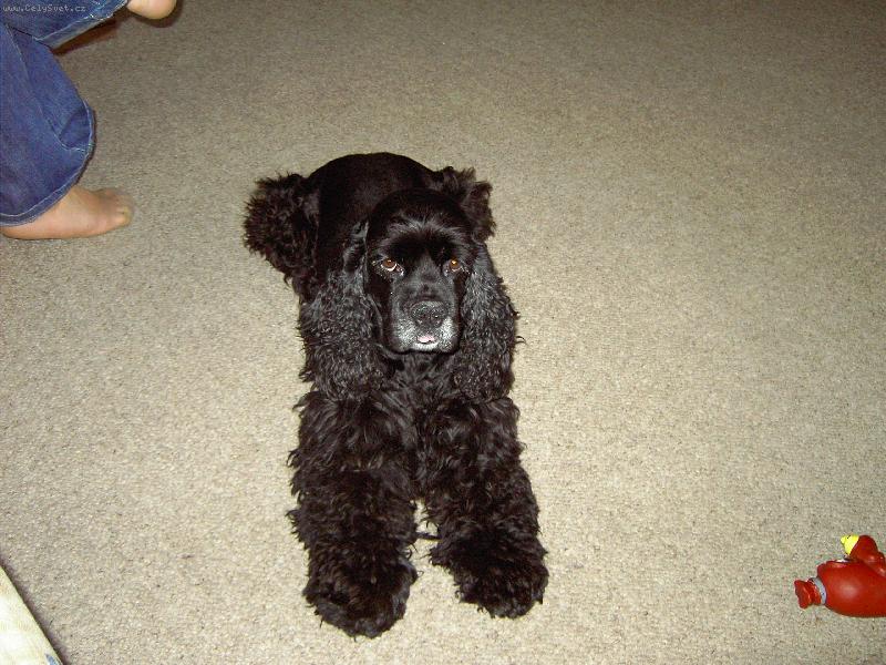 Foto:  Roch�nek-M�j jedin� mil��ek