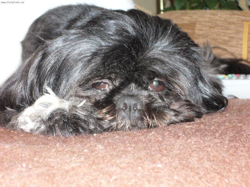 Foto: Lady-u� m� zase fot�? :-)