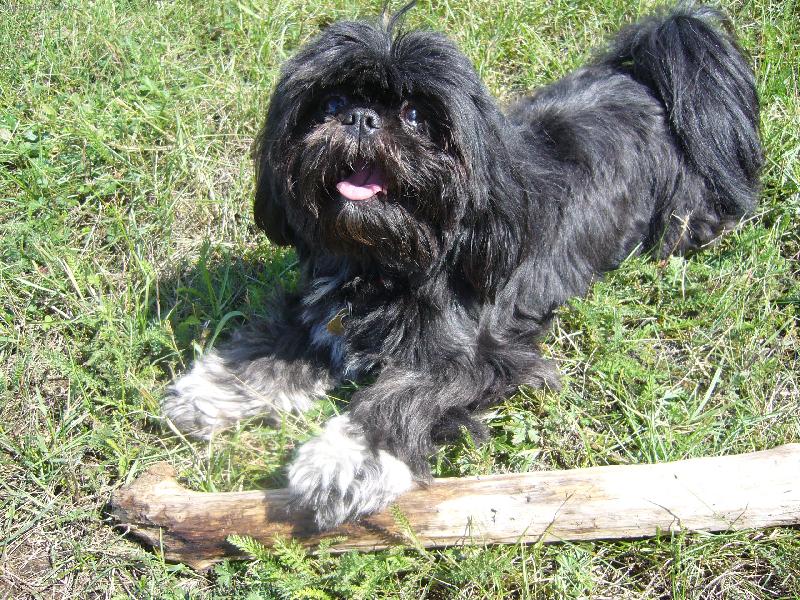 Foto: Lady venku-Mno tag takhle si na�e beru�ka hraje v l�t� venku :-)