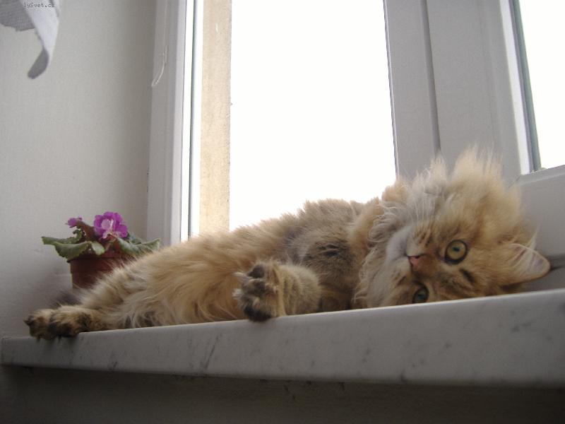 Foto: Nanynka-Pohodi�ka