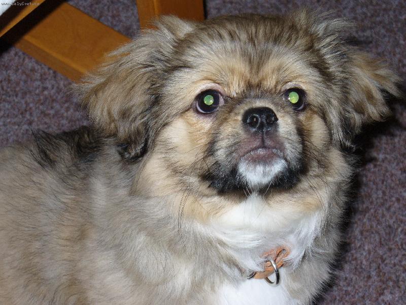 Foto: Coudy-�t�n�