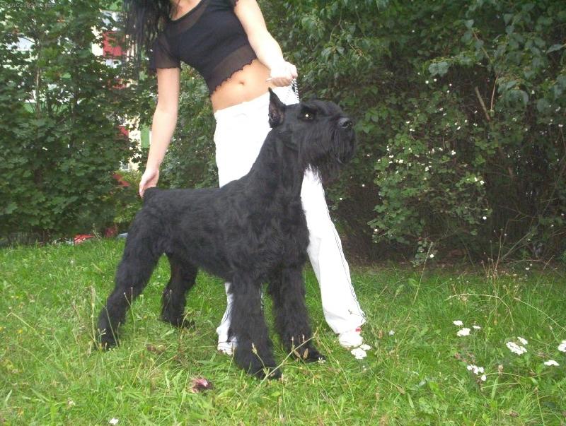 Foto: Dies Irae Nergal-show time ;)