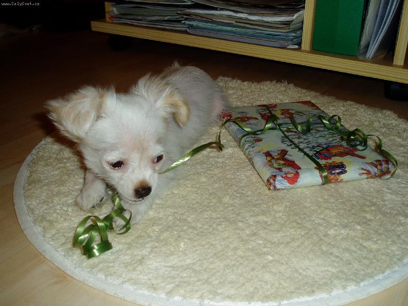 Foto: Prekvapenie-�o sa tam pre m�a skr�va?