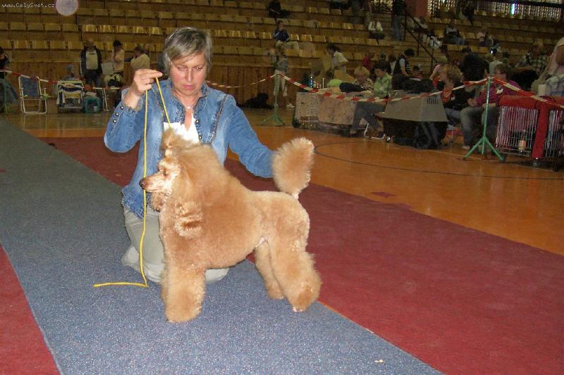 Foto: Kaspar Aureus Ytaner