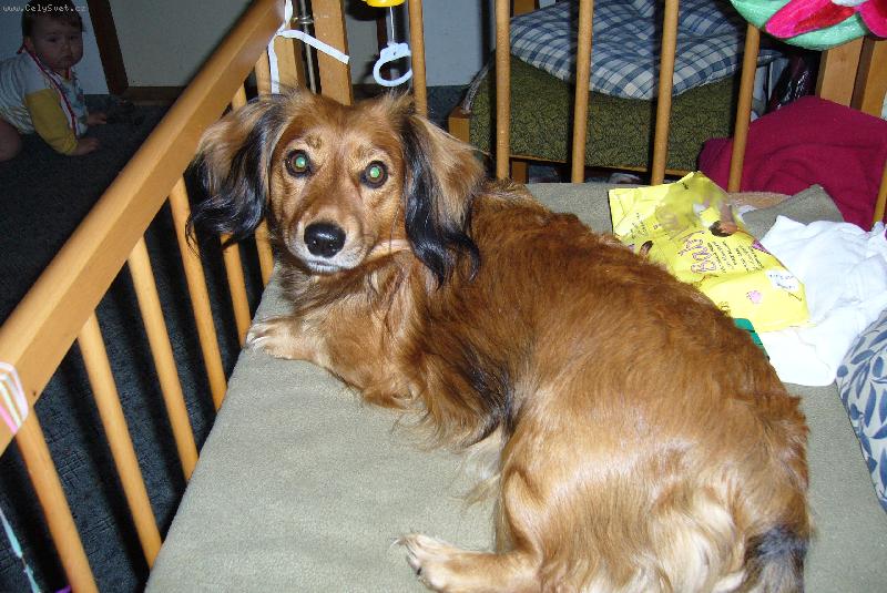 Foto: Terezka v post�lce