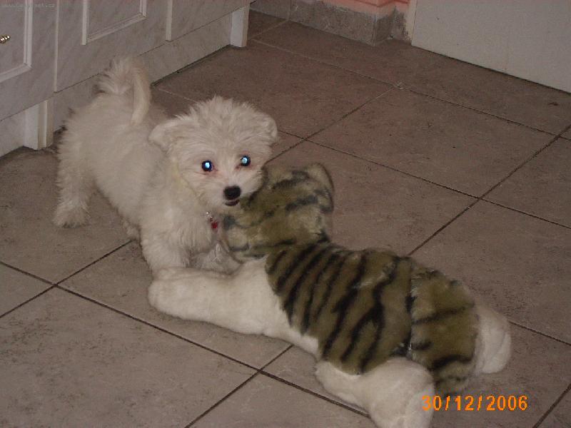 Foto: Tak takhle si hraji s tyg��kem