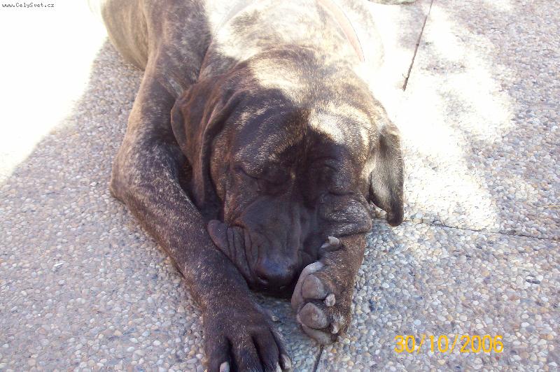 Foto: sarinka spinka