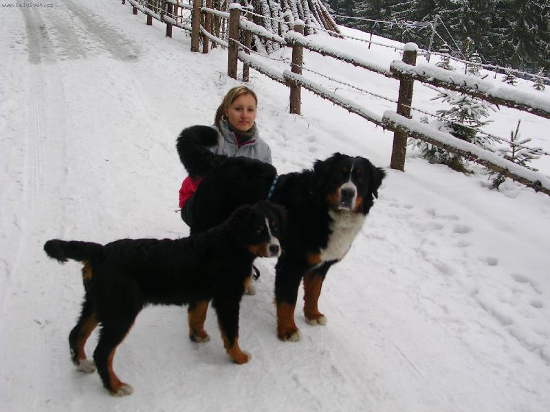 Foto: Max�k a Sam�k