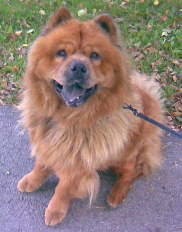 Foto: Evunka Bobunka-Evunka na v�let�