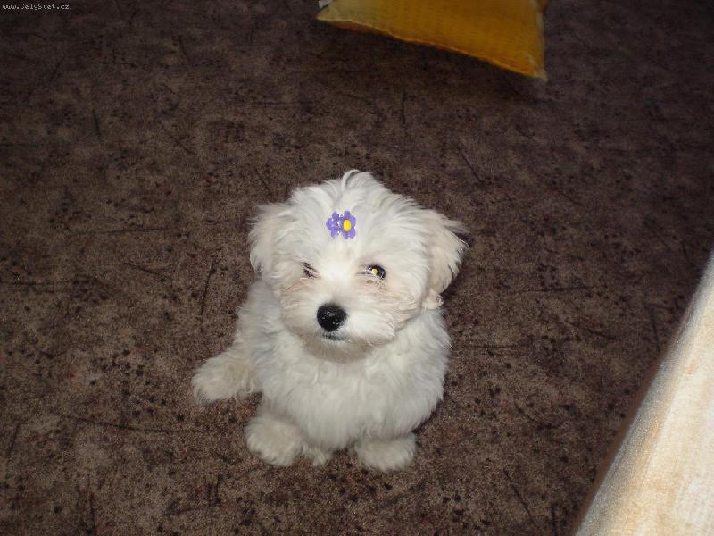 Foto: S cul��kem podruh�